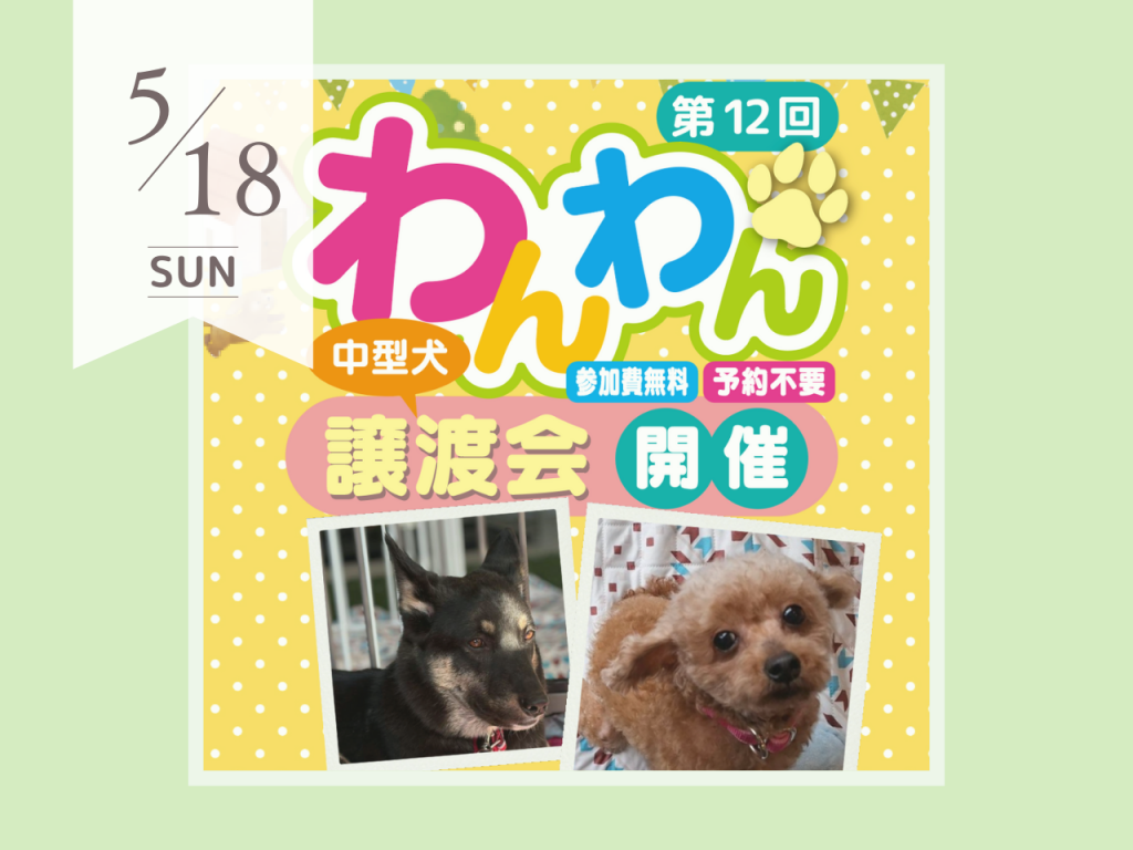 第12回わんわん譲渡会
