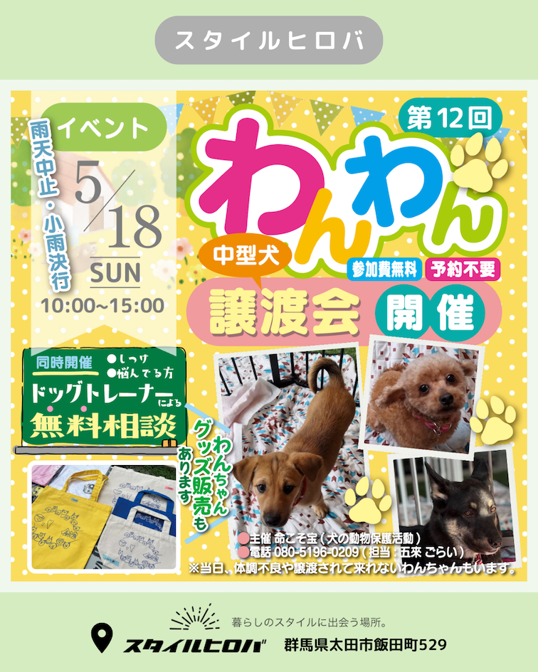 第12回わんわん譲渡会_2