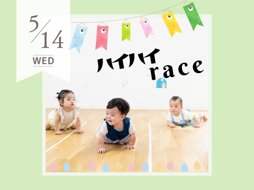 5月ハイハイレース