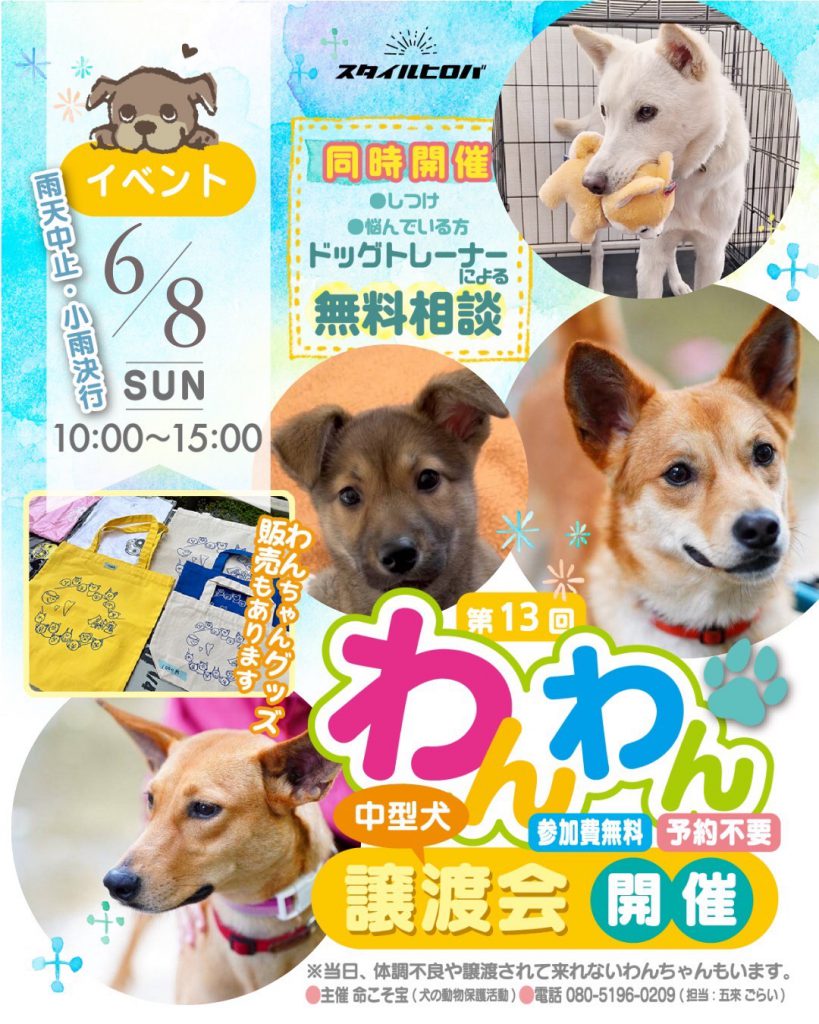第13回わんわん譲渡会_2
