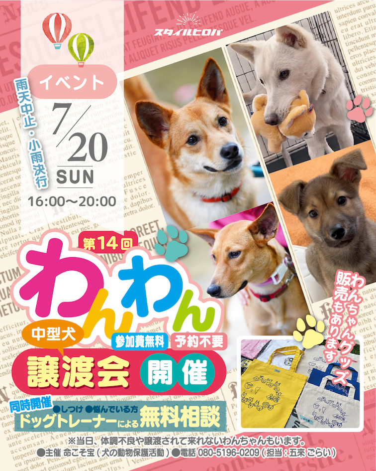 第14回わんわん譲渡会_2