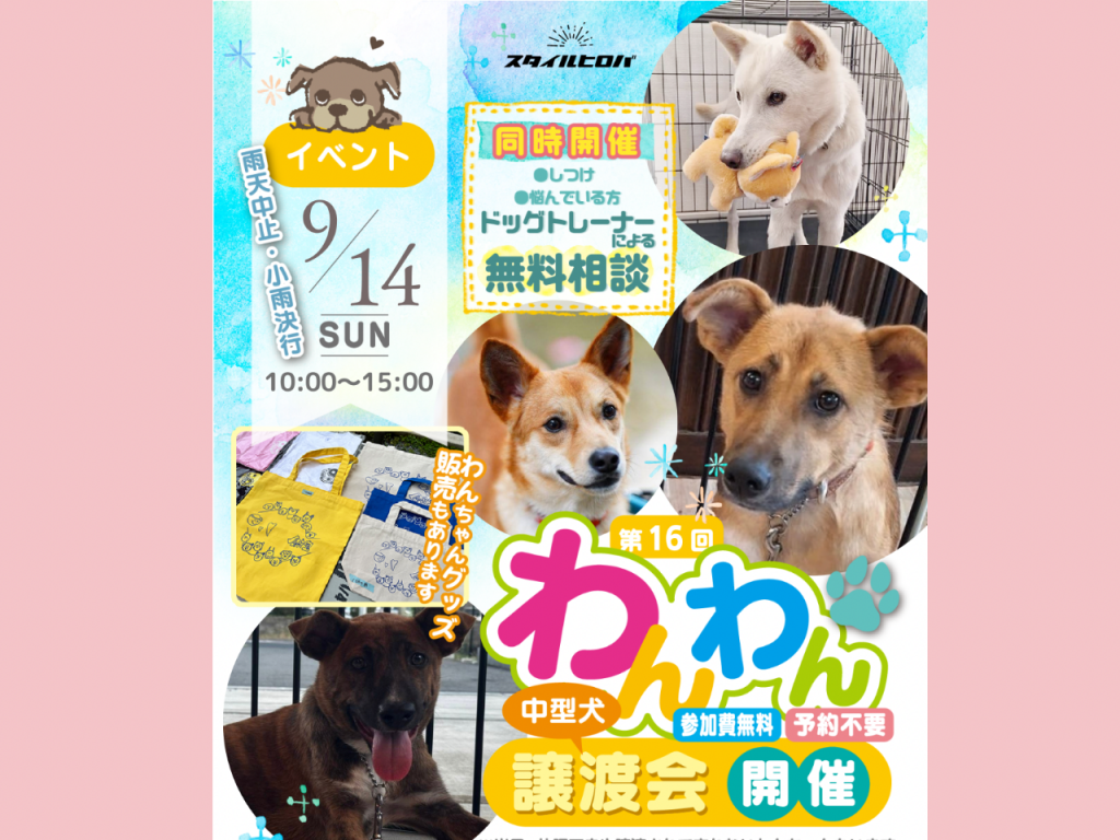 第16回わんわん譲渡会