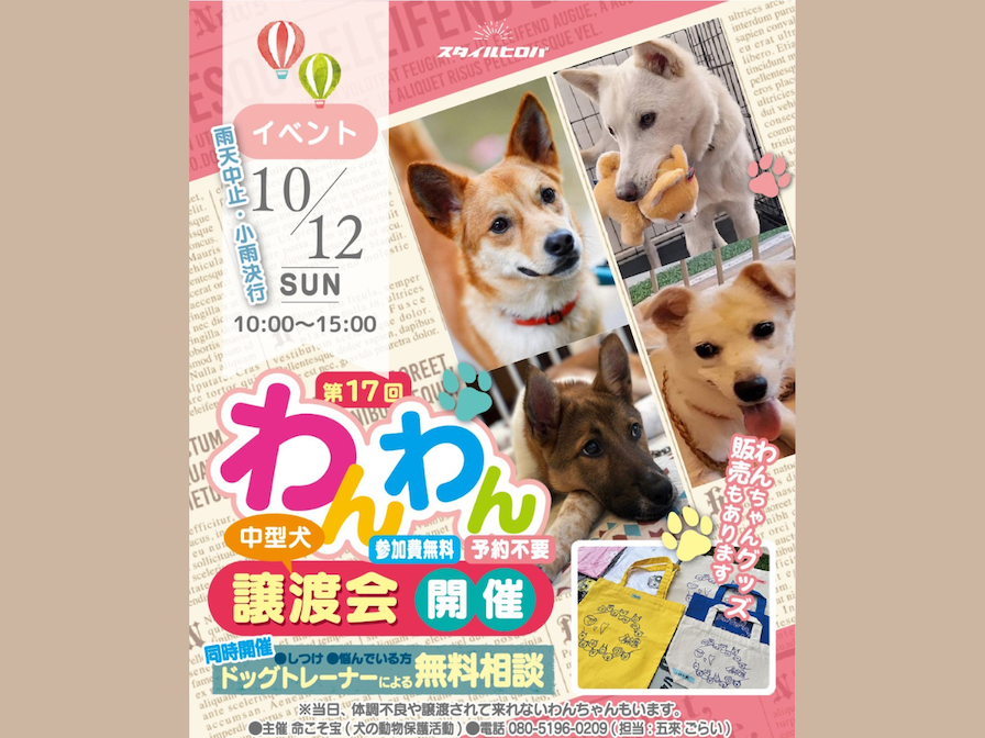 第17回わんわん譲渡会