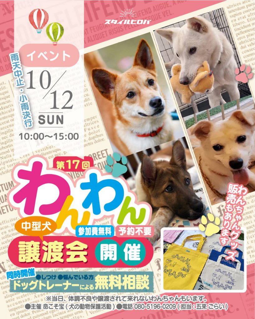 第17回わんわん譲渡会_2