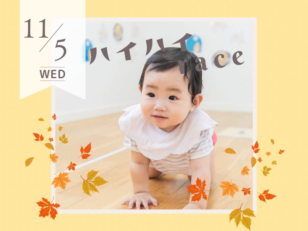 11月ハイハイレース