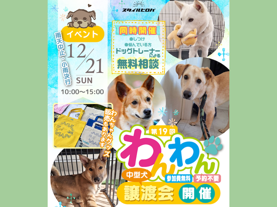 第19回わんわん譲渡会