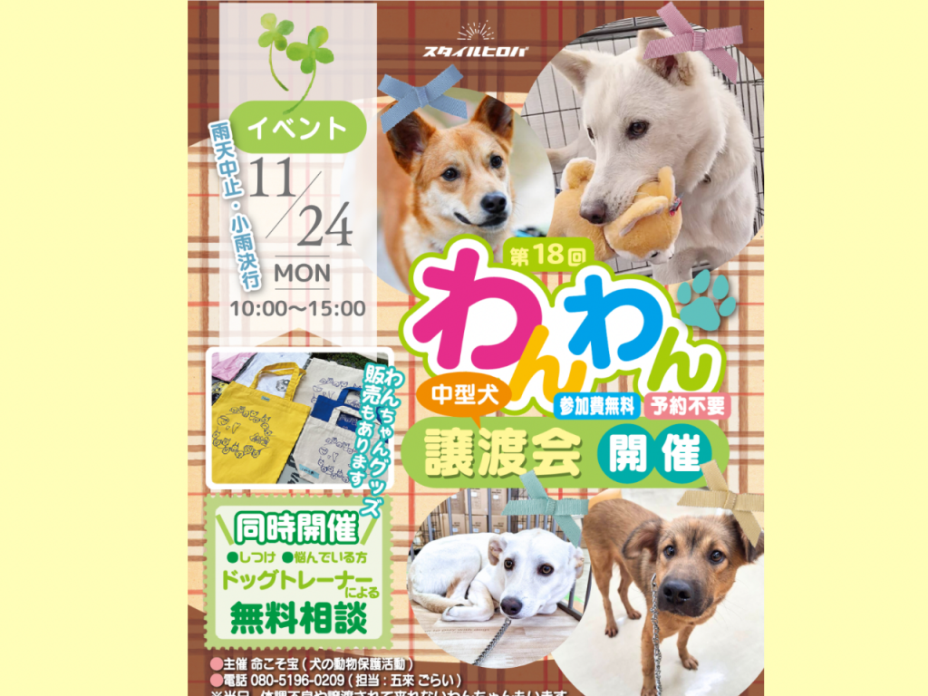 第18回わんわん譲渡会_1