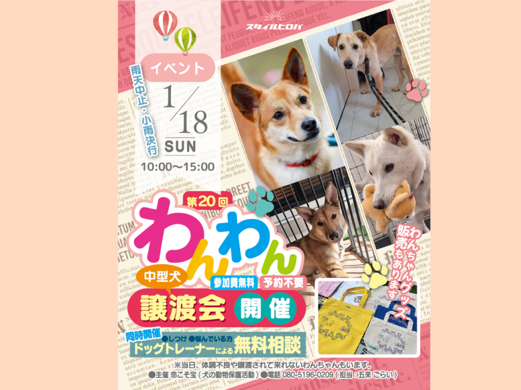 第20回わんわん譲渡会