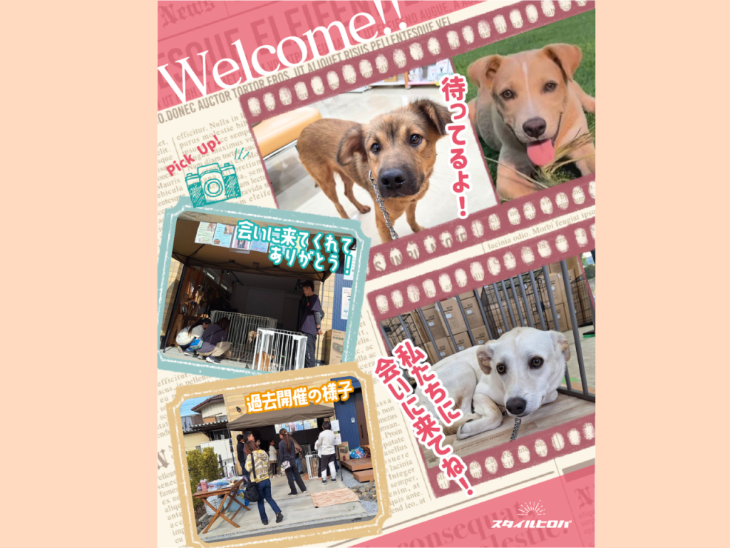 第20回わんわん譲渡会_2