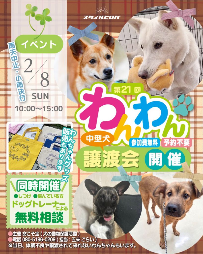 第21回わんわん譲渡会_2