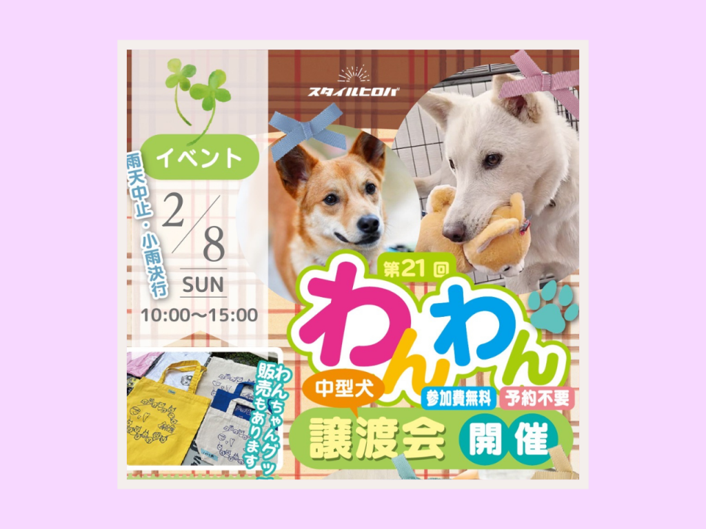 第21回わんわん譲渡会