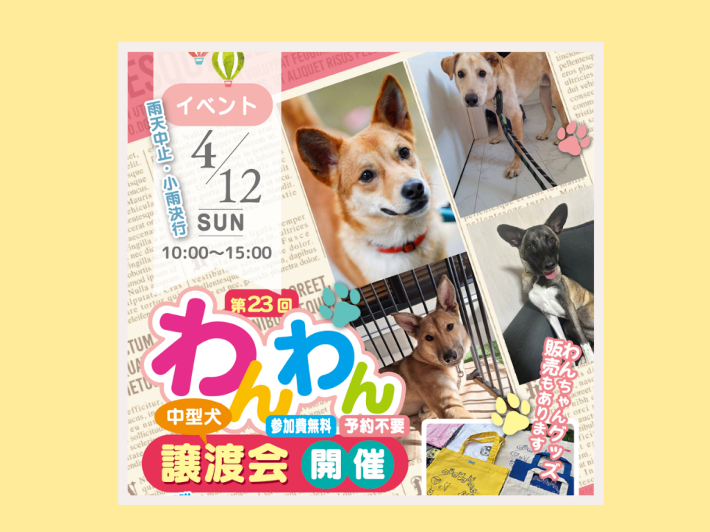 第23回わんわん譲渡会