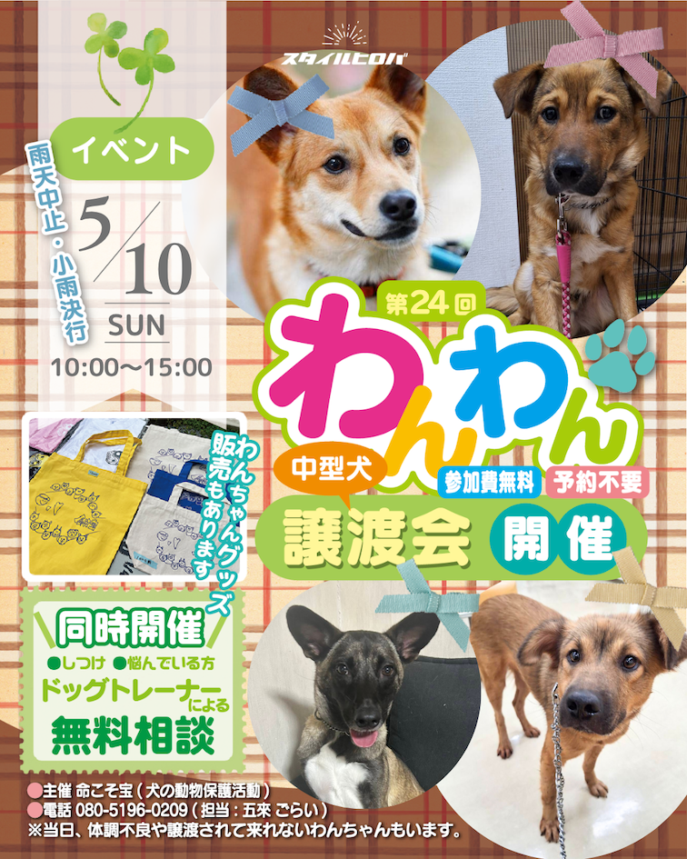 第24回わんわん譲渡会_2
