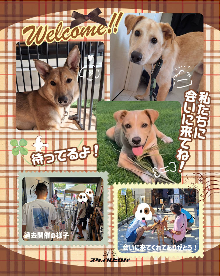 第24回わんわん譲渡会_3