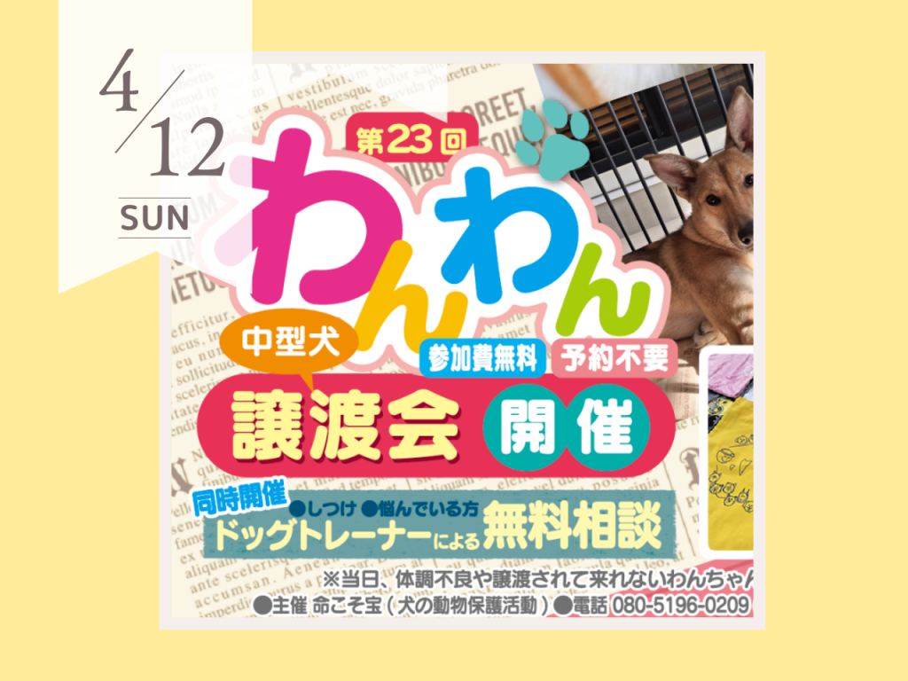 第23回わんわん譲渡会