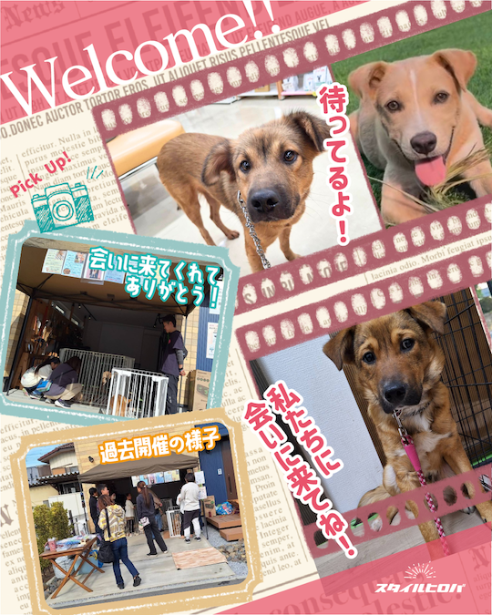第23回わんわん譲渡会_2