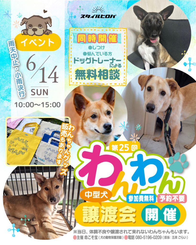 第25回わんわん譲渡会_2