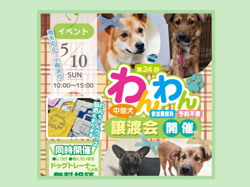 第24回わんわん譲渡会