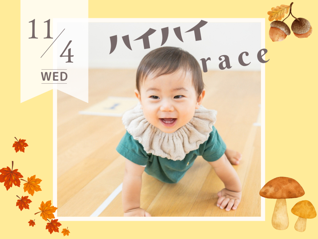 11月ハイハイレース